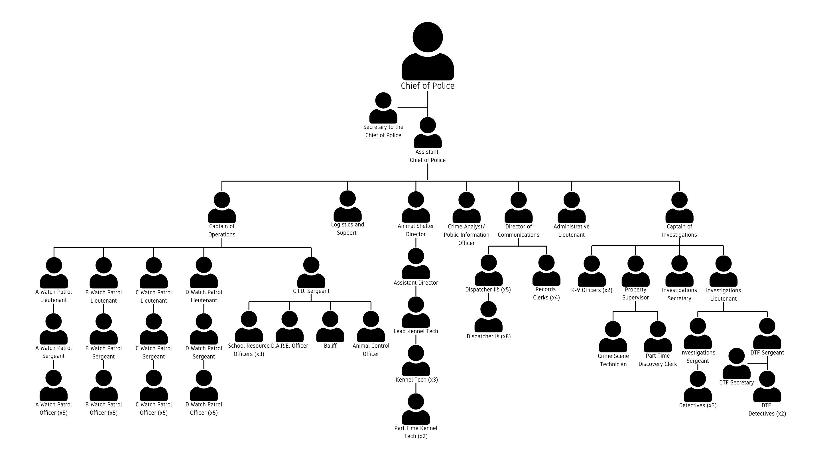 Organizational Chart 02.13.25